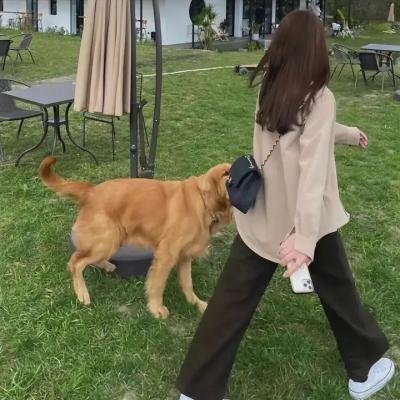 人鱼童话2