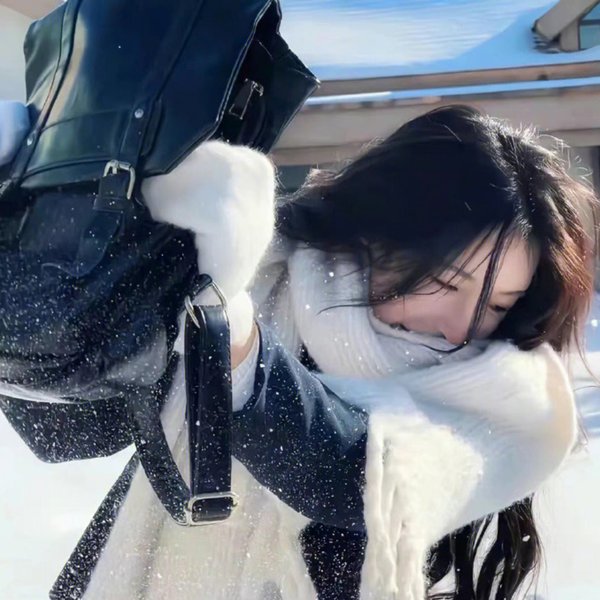 盗皇陵